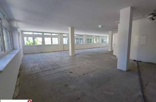 Büro zu mieten in 1130 Wien, Ihr Büro in Hietzinger Bestlage