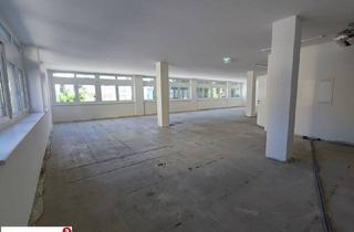 Büro zu mieten in 1130 Wien, Ihr Büro in Hietzinger Bestlage