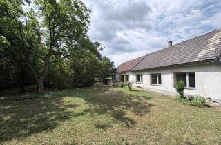 Einfamilienhaus kaufen in 7535 Sankt Michael im Burgenland, Einfamilienhaus mit großem Grundstück in ruhiger Lage
