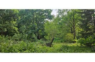 Grundstück zu kaufen in 3434 Tulbing, *** NATURPARADIES *** GARTENFREUDE *** IDYLLE PUR ***
