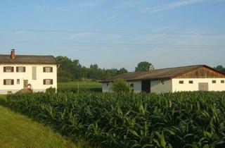 Immobilie kaufen in 8521 Wettmannstätten, Landwirtschaft mit Potential