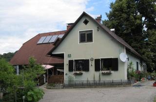 Haus kaufen in Schloßberg, 8463 Leutschach, LANDWIRTSCHAFT MIT CA. 8 HA GRUND IN ALLEIN/RUHELAGE MIT FERNSICHT UMGEBEN VON WEINBERGEN UND WÄLDERN