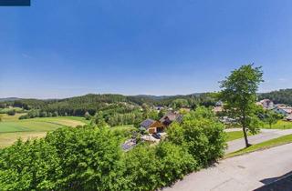 Haus kaufen in 3633 Schönbach, Ehemaliges Arzt- und Wohnhaus in Schönbach mit Fernblick in das Waldviertel
