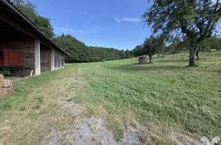 Grundstück zu kaufen in 8323 Krumegg, Großzügiges Grundstück - vielseitige Nutzung - in Ruhelage bei St. Marein b. Graz