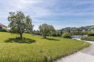 Grundstück zu kaufen in Am Pöstlingberg, 4040 Linz, Exklusives Baugrundstück am Pöstlingberg – eine der begehrtesten Wohnlagen von Linz!