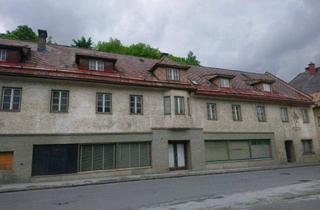 Gewerbeimmobilie kaufen in 8933 Sankt Gallen, Großzügiges Haus mit Geschäftsfläche und Garten