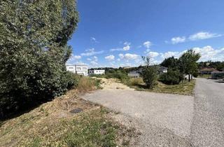 Grundstück zu kaufen in 2130 Mistelbach, DAS Grundstück für Ihr Eigenheim - in zentraler Lage