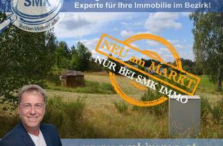 Grundstück zu kaufen in 3872 Amaliendorf, Weitläufiges Baugrundstück in Amaliendorf – Ruhe und Natur!