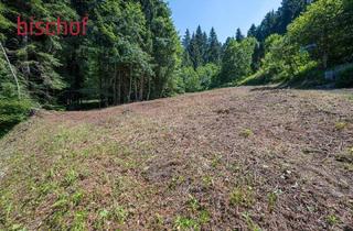 Grundstück zu kaufen in 6867 Schwarzenberg, Grundstück mit Ferienwohnsitzwidmung zu verkaufen