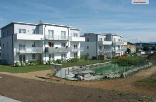 Wohnung mieten in Grünes Dorf, 3252 Petzenkirchen, Geförderte 2-Zimmer-Dachgeschoss-Wohnung - Schwimmbiotop inklusive!
