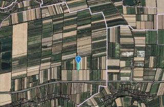 Gewerbeimmobilie kaufen in 3484 Seebarn am Wagram, ACKERFLÄCHE IN SEEBARN AM WAGRAM - ZUSAMMENHÄNGENDE LANDWIRTSCHAFTLICHE FLÄCHE
