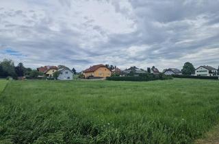 Grundstück zu kaufen in 2115 Ernstbrunn, GELDANLAGE OHNE BAUZWANG MIT BAUTRÄGEREIGNUNG ODER IHR GRUNDSTÜCK FÜR EIN TRAUMHAUS IN ERNSTBRUNN