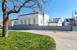 Lager mieten in Rathausgasse 6-8, 2540 Bad Vöslau, KLEINES BÜRO/LAGER MIT KLEINER TERASSE