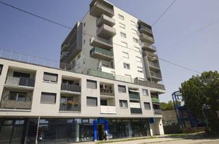 Geschäftslokal mieten in Erzherzog-Karl-Straße 105-107, 1220 Wien, Prominente Gewerbefläche mit Großer Glasfront Verfügbar
