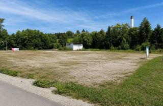 Grundstück zu kaufen in Linz, 4360 Grein, 3.553 m² Mischbaugrundstück in Grein | Aufgeschlossen | Eigener Trafo