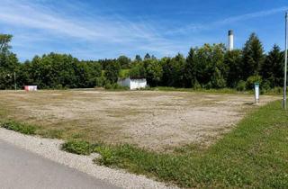 Grundstück zu kaufen in 4360 Grein, 3.553 m² Mischbaugrundstück in Grein | Aufgeschlossen | Eigener Trafo