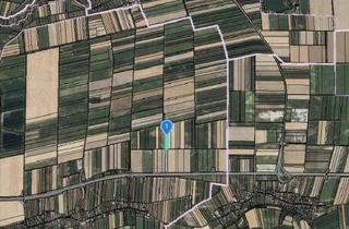 Grundstück zu kaufen in 3484 Grafenwörth, ACKERFLÄCHE IN SEEBARN AM WAGRAM - ZUSAMMENHÄNGENDE LANDWIRTSCHAFTLICHE FLÄCHE