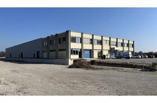 Gewerbeimmobilie kaufen in 2752 Wöllersdorf, "Betriebsobjekt Wöllersdorf-Steinabrückl" – Direkt an der A2