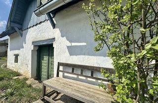 Immobilie kaufen in 2143 Ginzersdorf, Einzigartiger Keller in Ginzersdorf