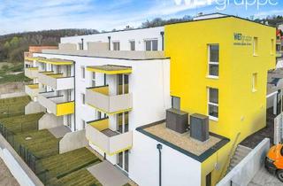Wohnung mieten in Scharfeneckweg 7/14, 2451 Hof am Leithaberge, Hof am Leithaberge | Junges Wohnen | Geförderte Miete | Top 14 | 1.OG mit Balkon