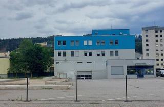 Lager mieten in Villacher Straße 28C, 9800 Spittal an der Drau, Gewerbefläche im Zentrum von Spittal/Drau zu Mieten