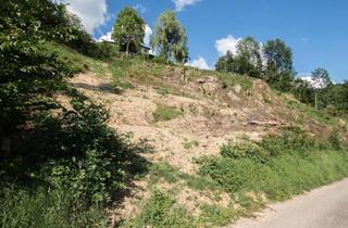 Grundstück zu kaufen in 4111 Walding, Großes Sonniges Grundstück in Südhanglage
