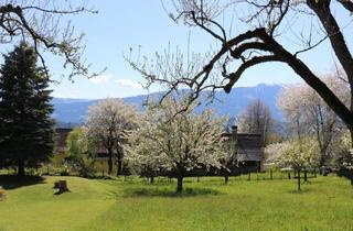 Grundstück zu kaufen in Millstätter See, Millstätter Alm, 9872 Obermillstatt, Idyllisches Baugrundstück in Obermillstatt - Wohnen, wo Andere Urlaub Machen