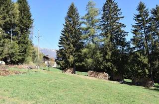 Grundstück zu kaufen in Krangl, 9863 Rennweg, Hier Planen und Errichten wir Unser Gemeinsames Wohnhaus