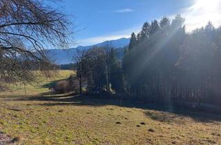 Grundstück zu kaufen in Fresach, 9712 Fresach, Großes Bauland in Fresach mit Potenzial