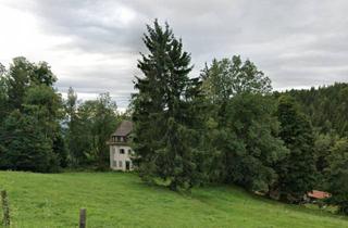 Grundstück zu kaufen in 8530 Trahütten, Einzigartige Höhenlage Über dem Schilcherland - Freilandjuwel mit Fernblick und Entwicklungspotenzial