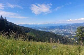 Grundstück zu kaufen in Rieding, 9400 Wolfsberg, Bauland Kurgebiet und Grünland auf der Koralm