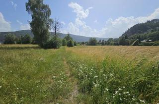 Grundstück zu kaufen in Seenäghe Millstätter See, 9873 Döbriach, • Millstätter See | 4.989 m² Entwicklungsgrundstück Für Tourismus & Wohnbau - Erweiterbar auf Über 20.000 m²