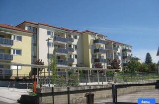 Wohnung kaufen in 9400 Wolfsberg, TOP Eigentumswohnung in gesuchter Lage von Wolfsberg - Gries