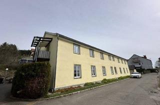 Wohnung mieten in Bergmanngasse 16, 8753 Fohnsdorf, FOHNSDORF: Attraktive Wohnung mit Laubengang und moderner, möblierter Küche