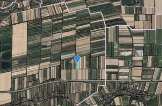 Gewerbeimmobilie kaufen in 3484 Grafenwörth, ACKERFLÄCHE IN SEEBARN AM WAGRAM - ZUSAMMENHÄNGENDE LANDWIRTSCHAFTLICHE FLÄCHE