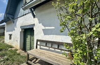Gewerbeimmobilie kaufen in 2143 Ginzersdorf, Einzigartiger Keller in Ginzersdorf
