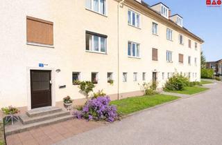 Wohnung mieten in 4843 Ampflwang, Gut geschnitten, fair im Preis – 2-Zimmer-Wohnung in Ampflwang
