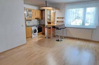 Wohnung mieten in 2344 Maria Enzersdorf, Singlewohnung in Grünruhelage!