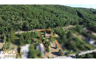 Grundstück zu kaufen in 2410 Hainburg an der Donau, Traumhaftes Baugrundstück in Toplage von Hainburg an der Donau