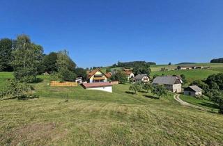 Mehrfamilienhaus kaufen in 8093 Dietersdorf am Gnasbach, St.Peter am Ottersbach! - Ehemalige Landwirtschaft!! - Gepflegtes Mehrfamilienhaus mit mehreren Nebengebäuden samt großem Freilandanteil und Wald auf Wunsch!