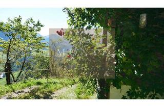 Haus kaufen in 6365 Kirchberg in Tirol, The Freedom--- FreizeitwohnsitzBerghütte zur Renovierung in absoluter Alleinlage