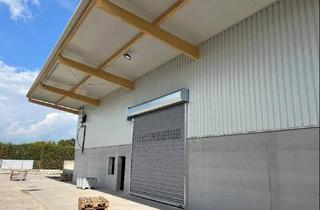 Büro zu mieten in 4481 Asten, Gewerbeflächen mit Lager, Produktion und Büro zu vermieten ab 125 m2