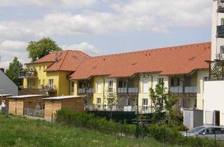 Wohnung mieten in Markt 2/3, 3484 Grafenwörth, Markt 2/3