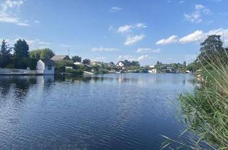 Haus kaufen in 2491 Steinbrunn, Bastlerhit- Süßes, kleines Ferienhaus direkt am See, Ihr Haus mit EIGENEM UFER