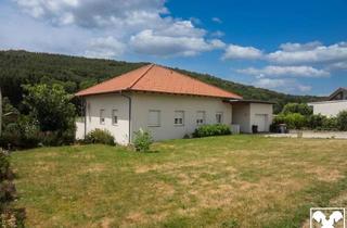 Einfamilienhaus kaufen in 7372 Karl, Smartes, Leistbares Einfamilienhaus mit Pool und Grossem Garten!