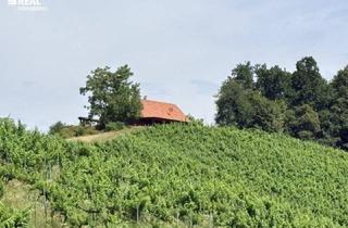 Haus kaufen in 8463 Leutschach, Das ist DIE Gelegenheit für Weinbauern und solche die es werden möchten, Liegenschaft in Traumlage - Südsteiermark