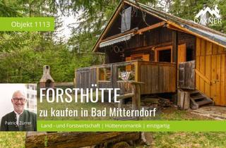 Gewerbeimmobilie kaufen in 8983 Bad Mitterndorf, Land- / Forstwirtschaft und Hüttenromantik im steirischen Salzkammergut