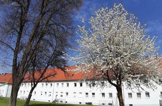 Wohnung mieten in Leo-Gabler-Straße, 4400 Steyr, Freundliche 3-Zimmer-Wohnung in grüner Stadtrandlage von Steyr-Münichholz – hell, modern und ideal für entspanntes Wohnen mit Komfort und Charme nach umfassender Sanierung!