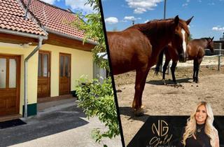 Haus kaufen in 7321 Unterfrauenhaid, Ein Paradies für Pferdeliebhaber - 3 Wohneinheiten, 7 Boxen, 2 Koppeln, Reitplatz im Mittelburgenland