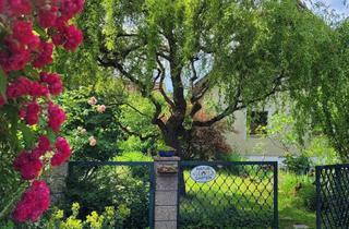 Einfamilienhaus kaufen in 8221 Hirnsdorf, Einfamilienhaus mit Naturgarten
